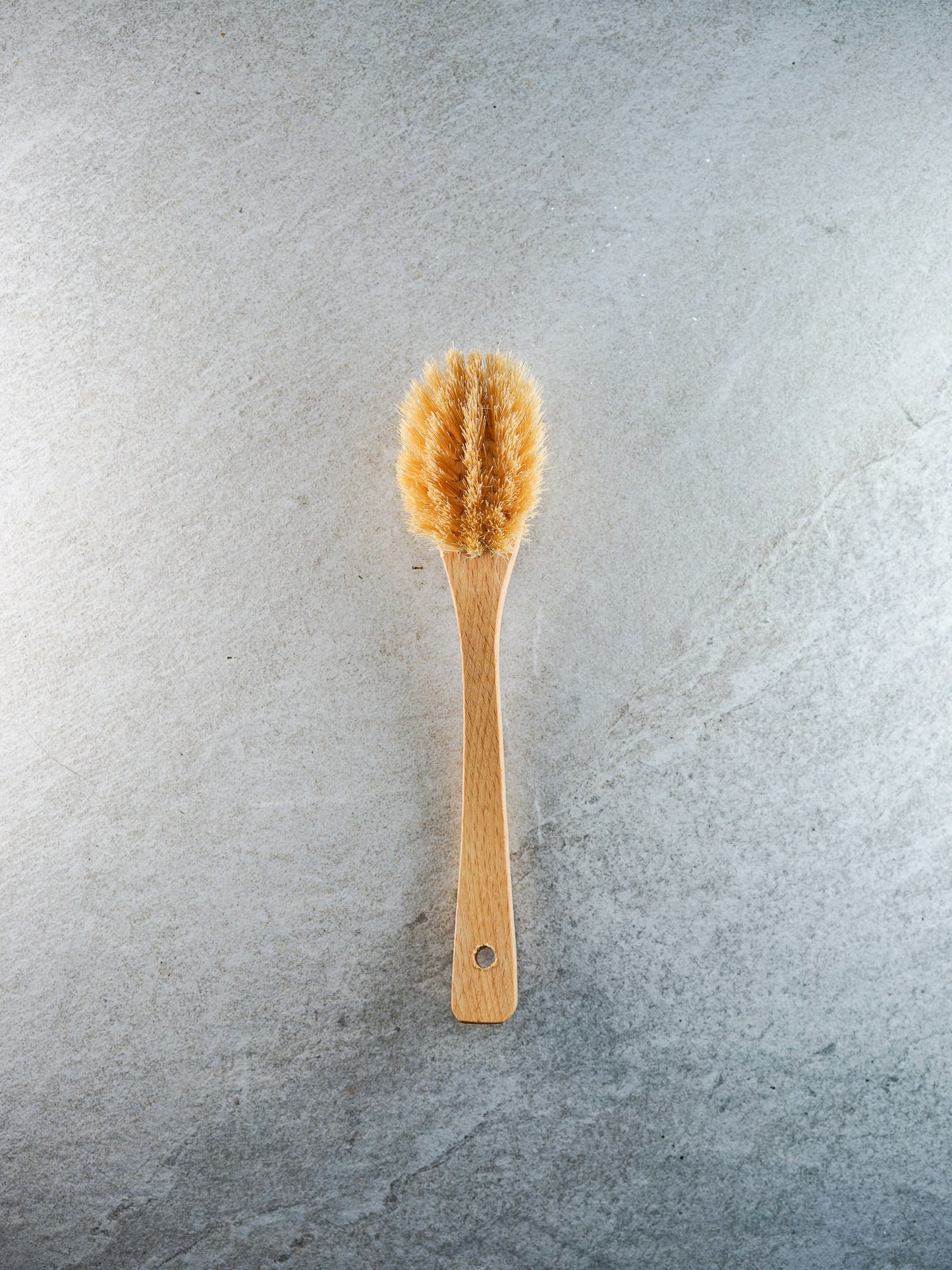 Dish brush